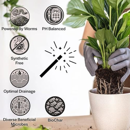 Craft Organic Houseplant Potting Mix, Elite House Plant Soil, Chunky, Well Draining Potting Soil for All Indoor Plants, Tropical Plants & Flowers, Sustainable & Peat Free, Less Prone to Gnats, 12QT - size: 12 quarts