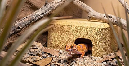 Rock Textured Reptile Hideout Shelter for Easy Shedding, PLA Material, Smooth Interior, Ventilated Hide for Gecko, Snake, Rock Sand Yellow - color: Rock Sand Yellow