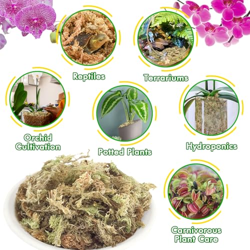 4 qt Sphagnum Moss for Indoor Plants, Natural Dried Long Fiber Moss for Orchid Repotting, Carnivorous Plants, Succulents, Monstera, Flower & Reptile Terrariums Habitats (3 oz) - size: 3oz