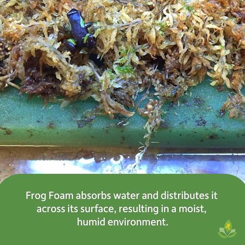 Josh's Frogs Frog Foam Terrarium Liner (12x12 Glass Terrarium) - size: 12x12