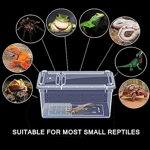 Critter Keeper Ant Farm Cane Toad Trap Little Live Pets Bug Catcher Kit for Kids Frog Habitat Turtle Tank Reptile Terrariums Lizard Cage Fish Bowl Beach Aquarium Catch and Release - size: 2