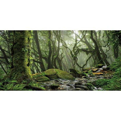 Forest Green Tree Terrarium Backdrop Reptile Habitat Background 48x18 in | AWERT Tropical Foggy Rainforest Stream Aquarium Durable Polyester Background - size: 48 x 18 inches