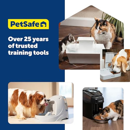 PetSafe Drinkwell Multi-Tier Pet Fountain, Cats & Dogs, Large | 100 oz Capacity, 2 Drinking Heights, Great for Senior/Arthritic Pets, Top-Rack Dishwasher Safe - size: 100oz Capacity