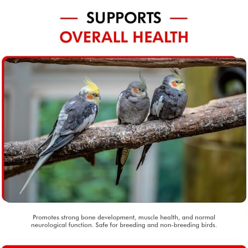 Calcium Plus Liquid for Birds – Calcium Supplement with Vitamins and Minerals for Strong Eggshells, Healthy Bones - Support Growth, Breeding, and Wellness for All Birds 4 Fl Oz | Calcium Supplement - Supports Healthy Growth, Bone Strength, Breeding, Brain