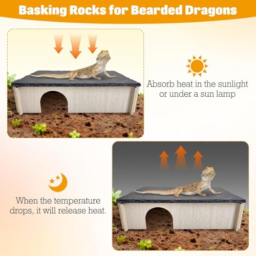 PINVNBY Bearded Dragon Basking Platform, Wood Reptile Hides and Caves, Crested Gecko Hide with Slate Rock, Leopard Gecko Tank Accessories for Small Lizard Snake Turtle (S: 5.9x5.9 inches) - size: S: 5.9x5.9 inches