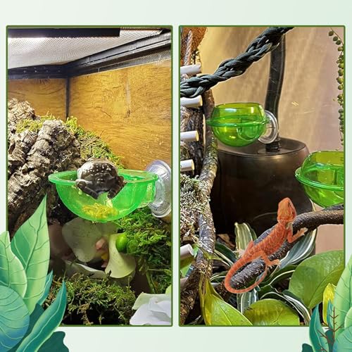 PINVNBY Reptile Bowl with Suction Cup,Chameleon Feeding Bowl,Gecko Food and Water Feeding Dish Pet Feeder Supplies Accessories for Lizards,Snakes,Bearded and Dragons(4 Pcs) - size: 【4 PCS】