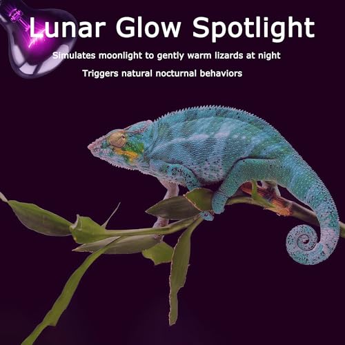60W Reptile Night Light Bulb, Upgraded Moonlight UVA Heat Lamp | Simulates Natural Moonlight, Supports Nighttime Activity & Natural Behaviors for Bearded Dragons, Lizards, Snakes, Amphibians