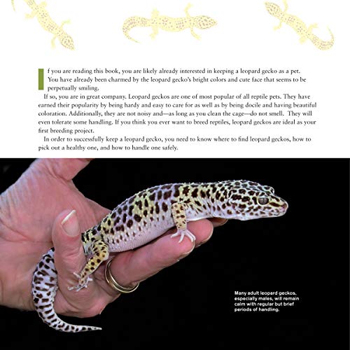 The Leopard Gecko Manual, 2nd Edition (CompanionHouse Books) Informative Guide to Care, Diet, Habitat, Breeding, Raising Hatchlings, Health Care, Recognizing Disease, Shedding, Tail Loss, and More