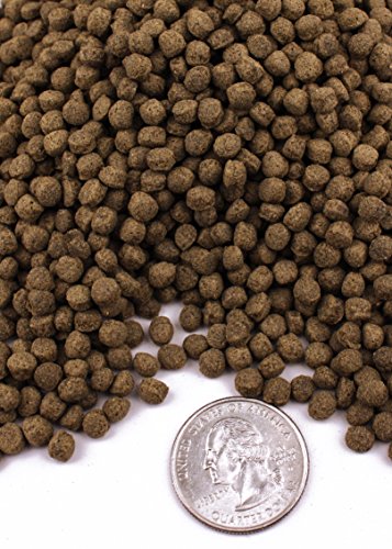 Turtle Bites (2.7 oz) - size: 2.7 ounce