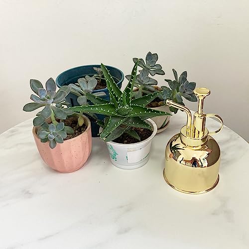 Stainless Steel Plant Sprayer, Small Watering Can Modern Gardening Tool for Indoor Potted Plants Watering and Spraying - color: 10oz/Gold color