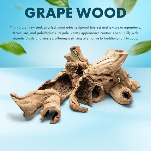 Driftwood - Grape Wood Hollow Log - Natural Aquarium Décor for Planted Tanks, Reptile Habitats, Bioactive Setups, and Terrariums – Small 1Pc, 5-10" - size: 1 Piece