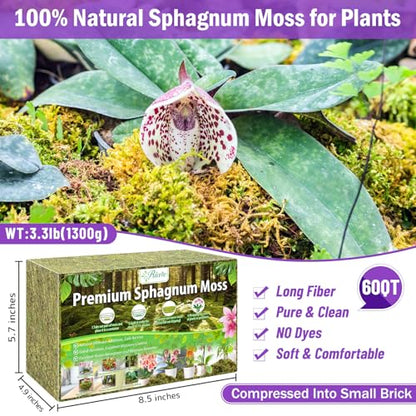 Riare 3.3LB Premium Sphagnum Moss for Plants- 60QT Natural Dried Plant Moss | Moisture Retention & Drainage Orchid Moss for Repotting, Succulents, Carnivorous, Ferns, Green Moss for DIY Craft, Reptiles - size: 60 QT(Appx.3.3lbs)