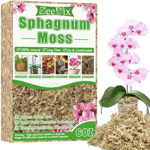 6 oz Sphagnum Moss for Plants Indoor, Long Fiber Natural Orchid Moss for Repotting Carnivorous Plants, Succulents, Monstera, Flower & Reptile Terrariums Habitats (Expands to 8 qt) - size: 6 ounces