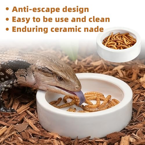 Escape-Proof Reptile Food Dish Bowl, Ceramic Reptile Feeding Dish & Small Animal Bowl for Lizard, Leopard Gecko, Hermit Crab, Hamster, Anti Escape Live Food & Water Dish (3x1in) 2PCS