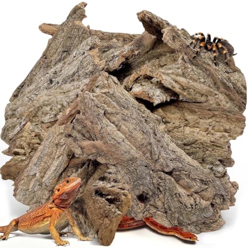 BNOSDM Reptiles Cork Bark Substrate,1.4lb Bearded Dragon Champagne Cork Bark Flats Hide Climbing,Reptiles Wood Bedding Terrarium Decor Tank Accessories for Lizards Snake Gecko Tarantula Isopods（L） - size: 1.4LB - L：4.72~7.87inch