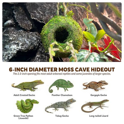 Moss Cave Hideout with Hanging Rope & Hemp Climbing Ladder – Natural Reptile Tank Decor Accessories for Crested Geckos, Chameleons, Tree Frogs, Leopard Geckos & Snakes. Terrarium & Vivarium Decor (6") - size: 6"
