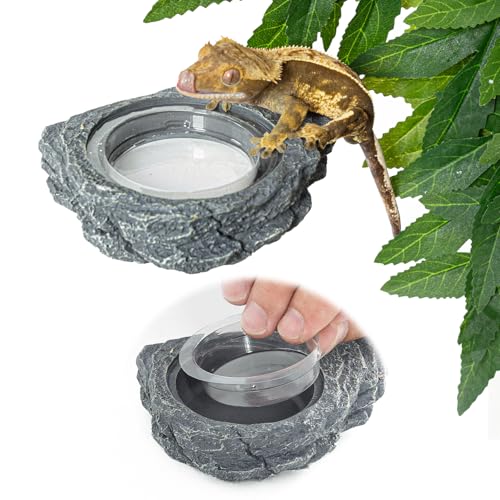 REPTIZOO 30PCS Feeding Cups for Reptile Magnetic Feeder Ledge, Replacement Cups for REPTIZOO Food Water Feeder Dish Gecko Feeding Ledge