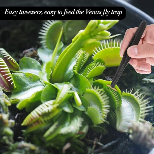 8 Pcs Venus Fly Trap Feeding Tweezers, Black Straight and Curved Tweezers Set Plastic Carnivorous Plant Reptile Feeding Tongs for Flytraps Pitcher Plants Butterwort Reptile Feeding