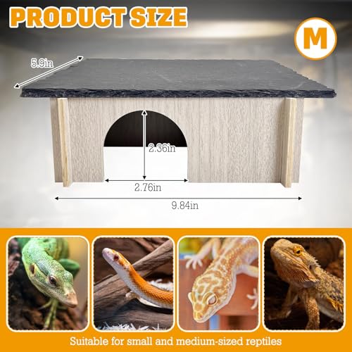 PINVNBY Bearded Dragon Basking Platform, Wood Reptile Hides and Caves, Crested Gecko Hide with Slate Rock, Leopard Gecko Tank Accessories for Small Lizard Snake (M: 9.84x5.9x2.76 inches) - size: M: 9.84x5.9x2.76 inches