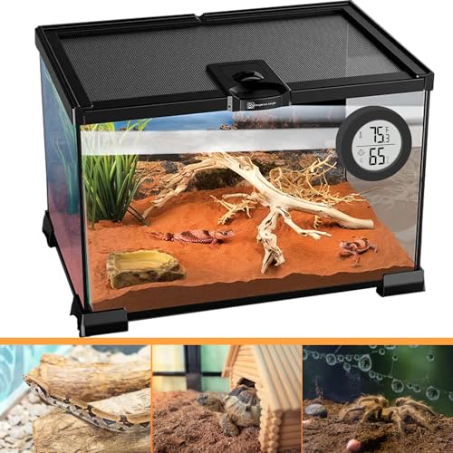 Reptile Tank Accessories, 2 Pack Bearded Dragon Tank Thermometer Humidity Gauge for Leopard Gecko, Jumping Spider, Snake, Gecko, Ball Python, Lizard - color: Black