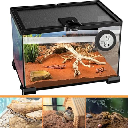 Reptile Tank Accessories, 2 Pack Bearded Dragon Tank Thermometer Humidity Gauge for Leopard Gecko, Jumping Spider, Snake, Gecko, Ball Python, Lizard - color: Black