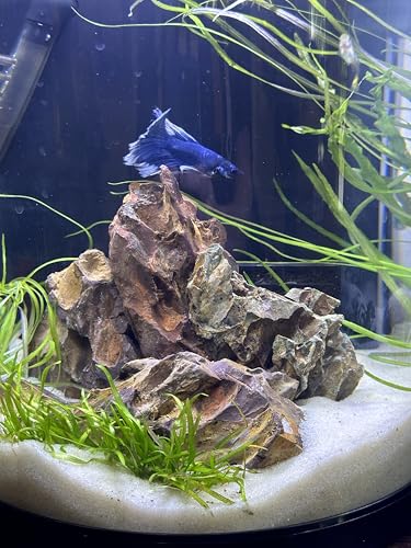 Aqua Natural Substrate, Sugar White Sand, 20lb | Aquascaping, Aquariums, Vivariums, Terrariums
