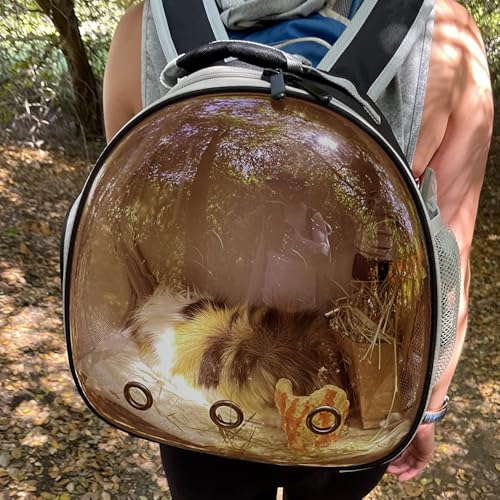 Guinea Pig Carrier, Guinea Pig Backpack with Clear Bubble Window (Black-Polarize, Backpack) - color: Black-Polarize