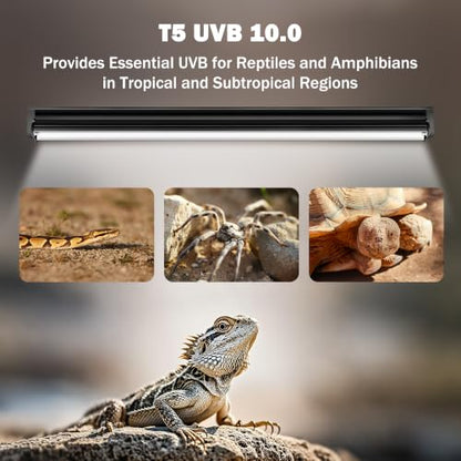 T5 10.0 UVB Reptile Light Fixture, 39W 34" for Bearded Dragon | Combo kit with stand & hood. 39W 34" T5 10.0 UVB/UVA. For bearded dragons, tortoises, lizards & amphibians. - size: T5-34"-Fixture