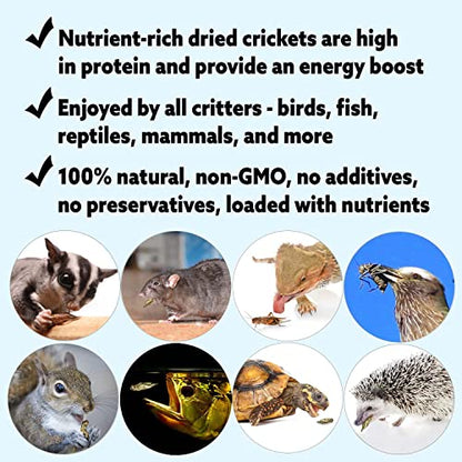 1/2 Pound Dried Crickets - High Protein Insect Treat - Chickens, Wild Birds, Hedgehogs, Bluebirds, Reptiles, Sugar Gliders, Opossums, Skunks, Lizards, Bearded Dragons, Fish, Turtles 8 oz. (1 Pack)
