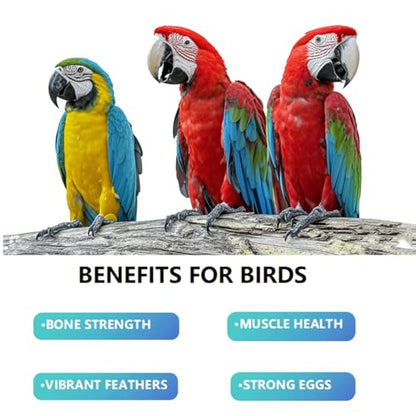 Calcium Powder for Birds with Magnesium & Vitamin D3 – 4oz，Essential for molting Period ， Faster Feather Regrowth, Strong Beak & Bone