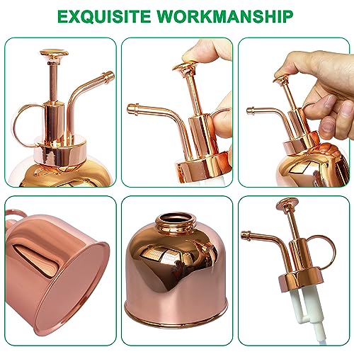 Plant Mister Spray Bottle Stainless Steel Plant Sprayer, Small Watering can Plant Spray Bottle Modern Gardening Tools for Indoor Potted Plants Watering and Spraying - color: 10oz/ Rose Gold