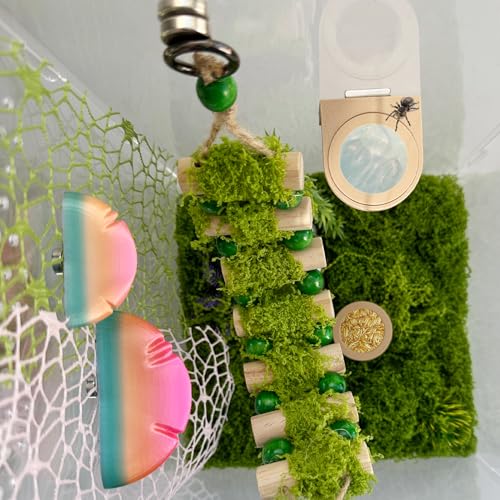 2 PCS Jumping Spider Feeding Dish (1 Detachable with Magnet and 1 for Replacement), Tiny Food Dishes Water Dish for Spider, Tarantula and Other Small Pets Jumping Spider Accessories