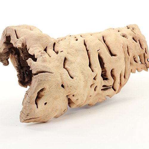 Koyal Wholesale 10" Hollow Grapewood Branch Decor 1Pcs Grapewood Centerpiece Vase Air Plants Sand Blasted Grapevine Wood Untreated Terrarium Wood Driftwood Decor