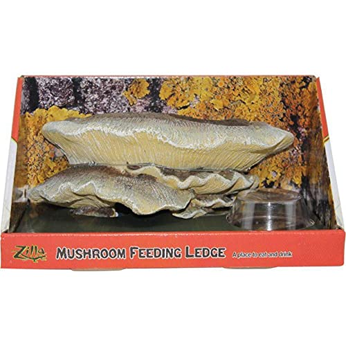 Zilla Vertical Décor Mushroom Feeding Ledge One Size,Brown 9.5 IN - style: Vertical Mushroom Hideout