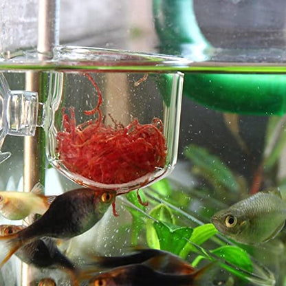 Aquarium Red Worms Feeder Live Insect Container Strong Suction Cup Feed for Small Tropical Fish (Glass Slit Cup)
