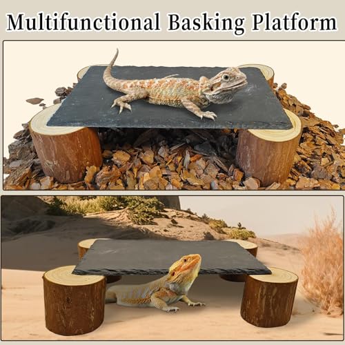 Bearded Dragon Basking Platform,Reptile Slate Rocks with Wooden Pile,Leopard Gecko Hides and Caves Climbing Tank Accessories for Lizards Snakes Tortoise Ball Python(Large High)
