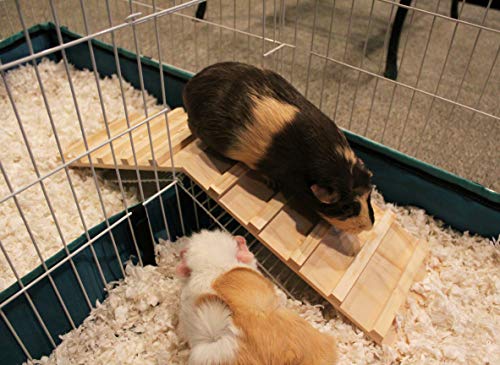 Wood Bridge for Small Animal Cage or Habitat - Guinea Pigs, Ferrets, Chinchillas, Hedgehog, Dwarf Rabbits and Other Small Animals