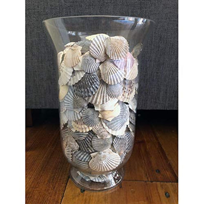 WGV Unique Bouquet Vase, 7" W, 12" H, Clear Short Hurricane Glass Candle Holder, Floral Planter Terrarium, Home Wedding Event Decor, 1 Piece (VHV0812) - size: Hurricane 12"H