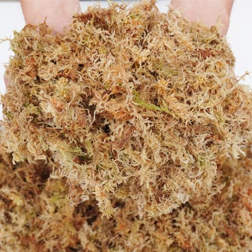 5oz Sphagnum Moss for Plant Propagation, Great Orchid Potting Mix, Help with Maintain Humidity - size: 5oz