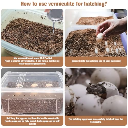 MAQIHAN 14OZ Vermiculite for Reptiles - Terrarium Substrate Bedding | Vermiculite Reptile Egg Incubation Soil for Bearded Dragon, Gecko, Hermit Crab, Snake, Tortoise, Turtle, Plants & Terrarium