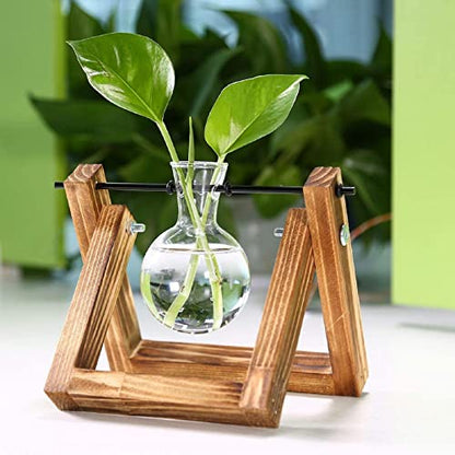 Kingbuy Plant Propagation Station Bulb Vase, 1 Bulb Vase | Air Plant Terrarium, Wooden Swivel Holder, Desktop Glass Planter, For Indoor Water Plants - size: 1 Bulb Vase