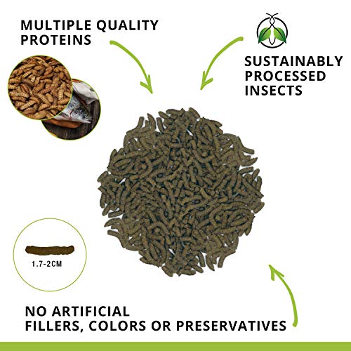 Fluval Bug Bites Bottom Feeder Fish Food, Sticks for Medium to Large Sized Fish, 4.59 oz., A6587 (Pack of 2) - size: 4.59 Ounce (Pack of 2)