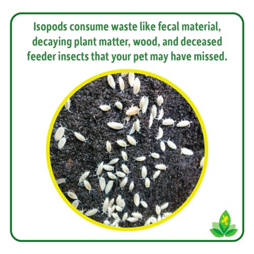 Josh's Frogs Isopods and Springtails Bundle, 25 ct/8 oz | Dwarf Tropical White Isopods, Temperate Springtails, Bioactive Clean Up Crew Bugs