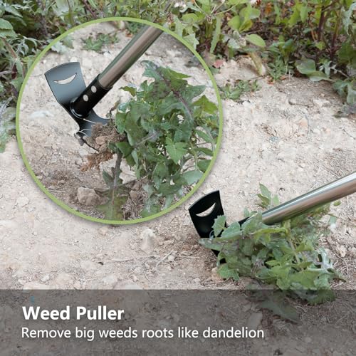 Weed Remover Tool with Long Handle(58IN), 2-in-1 Hand Weed Puller with Rake & Garden Hoe Combo for Gardening, Manual Weeding Tools for Gardens, Yards, Patios, Lawns, and Paved Areas