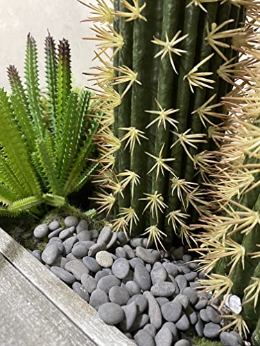 CJGQ Black River Rocks - 7lb Small Mexican Beach Pebbles for Succulents, Aquarium, Garden & Vase Decor - color: Black-Medium, size: 7lb