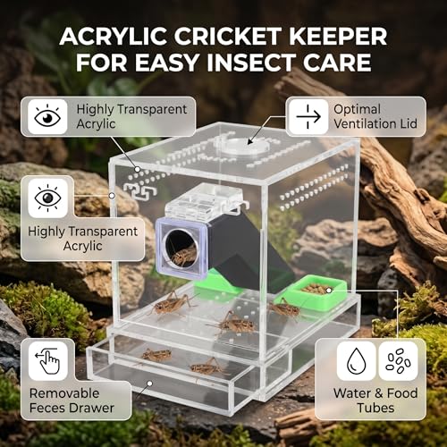GLOGLOW Cricket Care Kit, with Feces Layer Acrylic Feeding Cricket Keeper with a Food Feeding Tub Care Kit Reptile Tank Box for Observation of Breeding