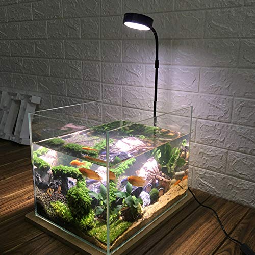 LED Aquarium Light for Under 1.5 Gallon Fish Tank 10W Full Spectrum | 360 Degree Small Aquarium Light LED Light with Bamboo Board Nano Fish Tank & Terrarium Light for Plant Growth USB Powered - size: 10w s / 6.69x7.28inch