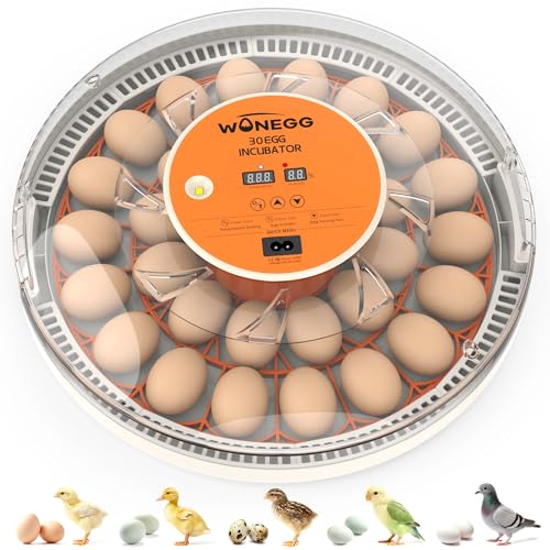 30 Egg Incubators for Hatching Eggs with Automatic Egg Turner, Auto Temperature Control, LED Candling, Humidity Monitor, 360° Viewing for Chicken Quail Parrot Birds