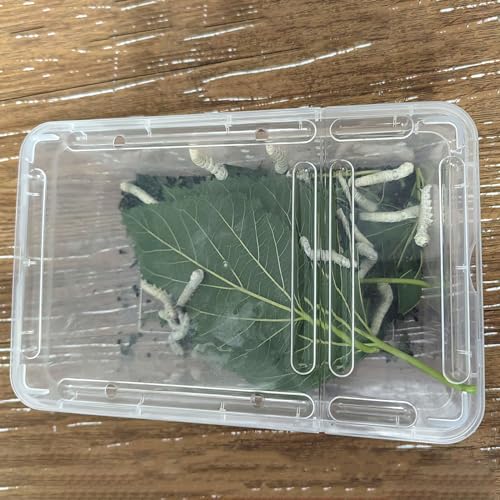 4pack Critter Keeper Ant Farm Cane Toad Trap Little Live Pets Bug Catcher Kit for Kids Frog Habitat Turtle Tank Reptile Terrariums Lizard Cage Fish Bowl Beach Aquarium Catch and Release - size: 4