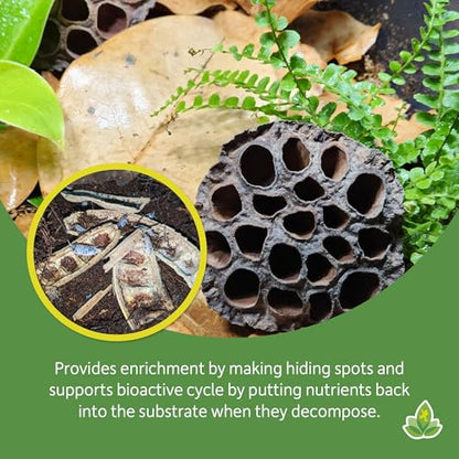 Josh's Frogs Assorted Substrate Botanicals for Orchid, Frogs, Reptiles and Fish | Josh's Frogs Assorted Substrate Botanicals for Orchid, Frogs, Reptiles and Fish